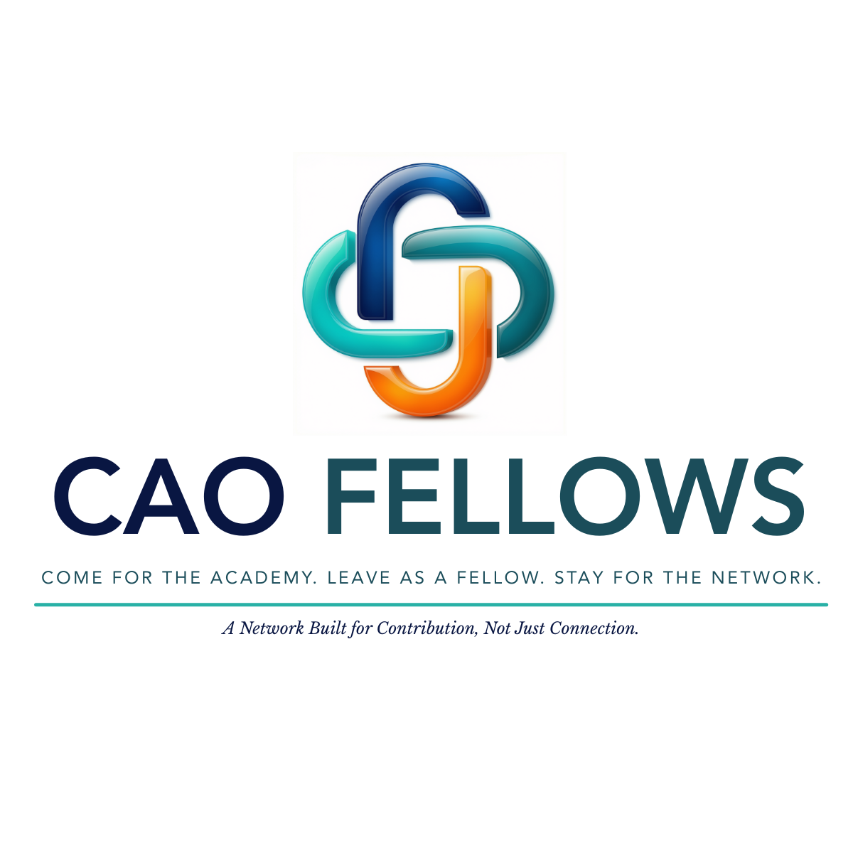 CAO Fellows — Come for the Academy. Leave as a Fellow. Stay for the Network.